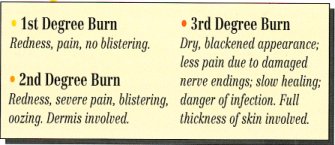 Burn Description